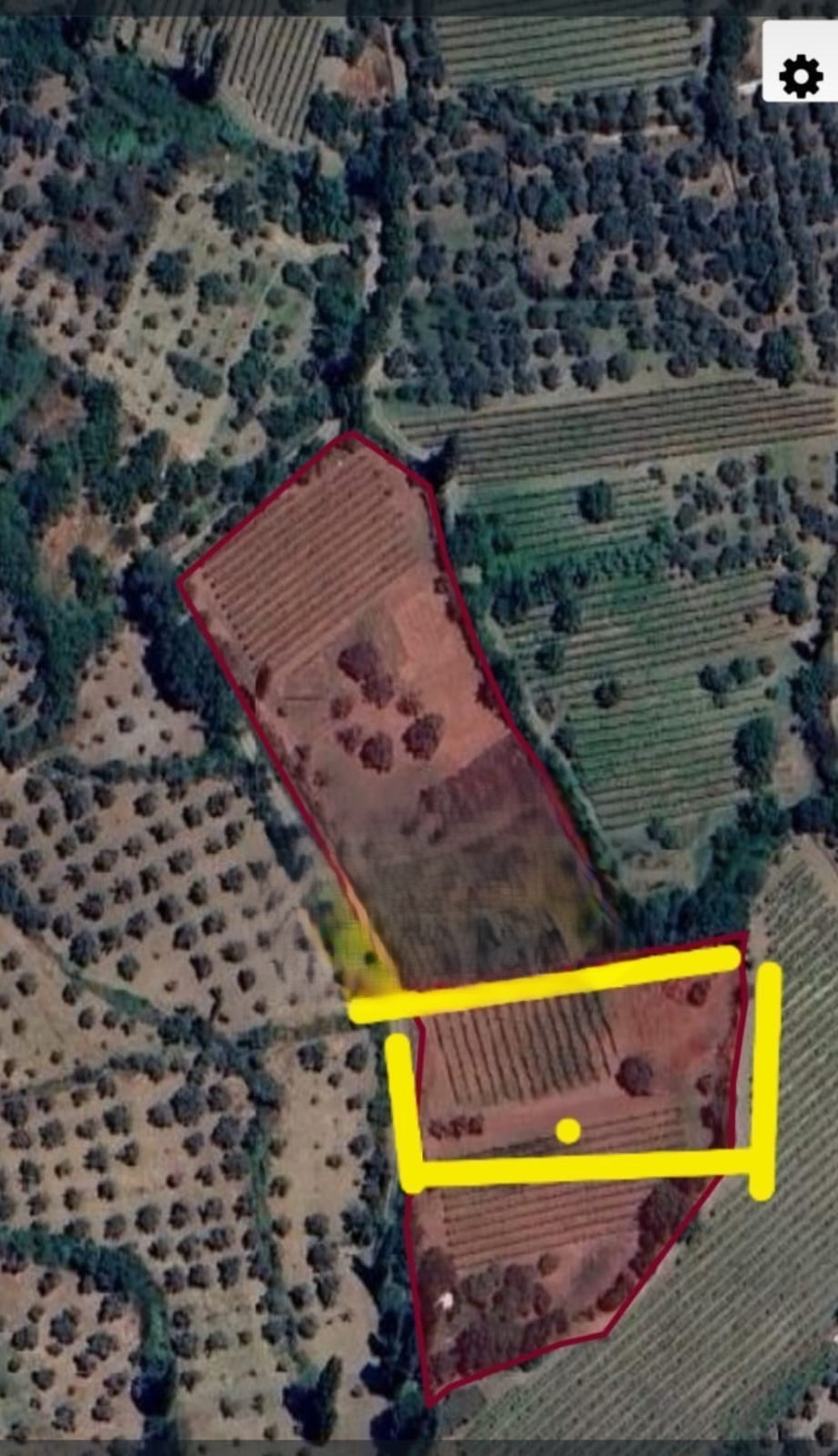 ** BAUERNHOF ZU VERKAUFEN IN KUŞADASI YENİKÖY **