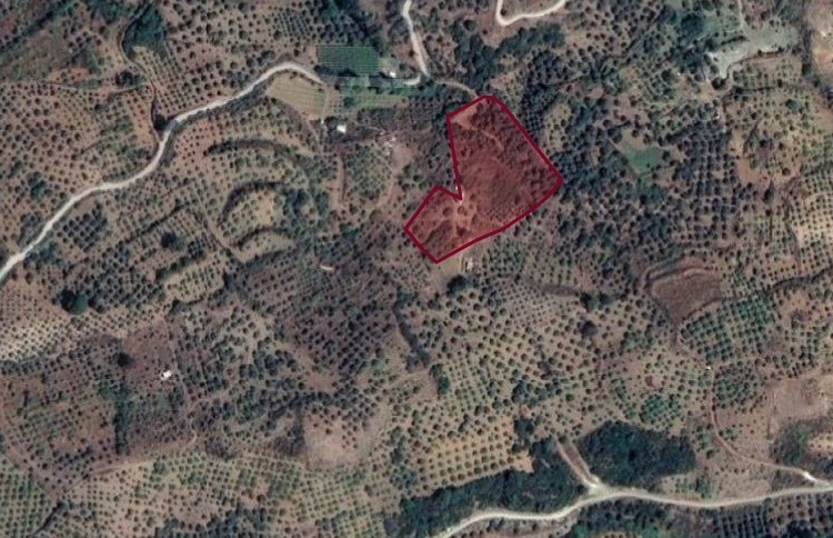 ** BAUERNHOF ZU VERKAUFEN IN KUŞADASI YENİKÖY **