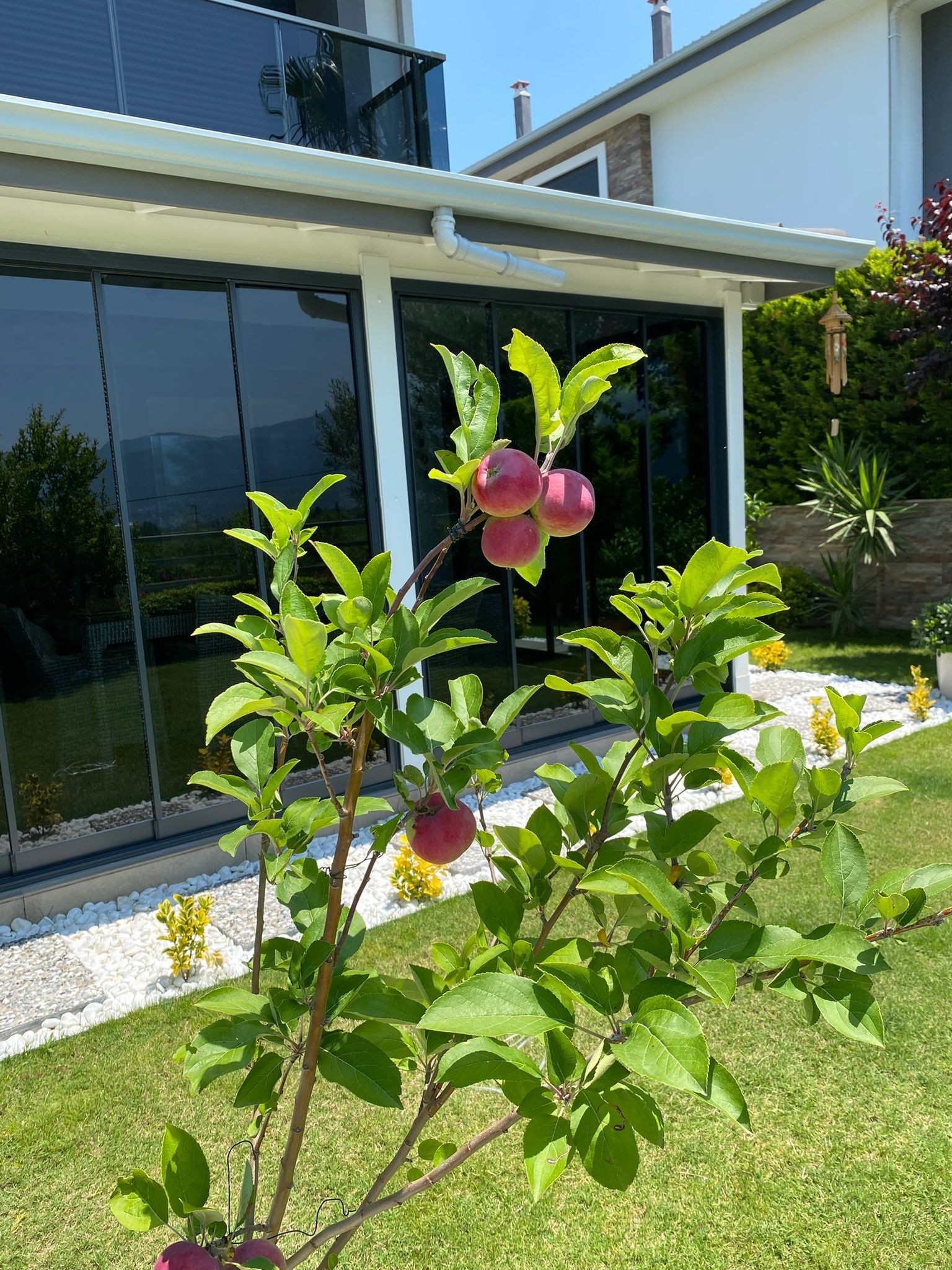 🌿 Kluge Wahl zum Wohnen und Investieren – ​​3+1 Villa mit Garten