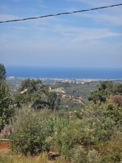 Full Deniz Manzaralı Tarla ve Zeytinlik