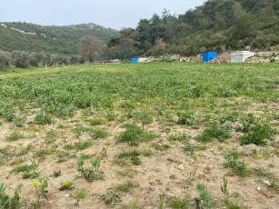 2716 m² field in Kirazlı Dereboğaz area.