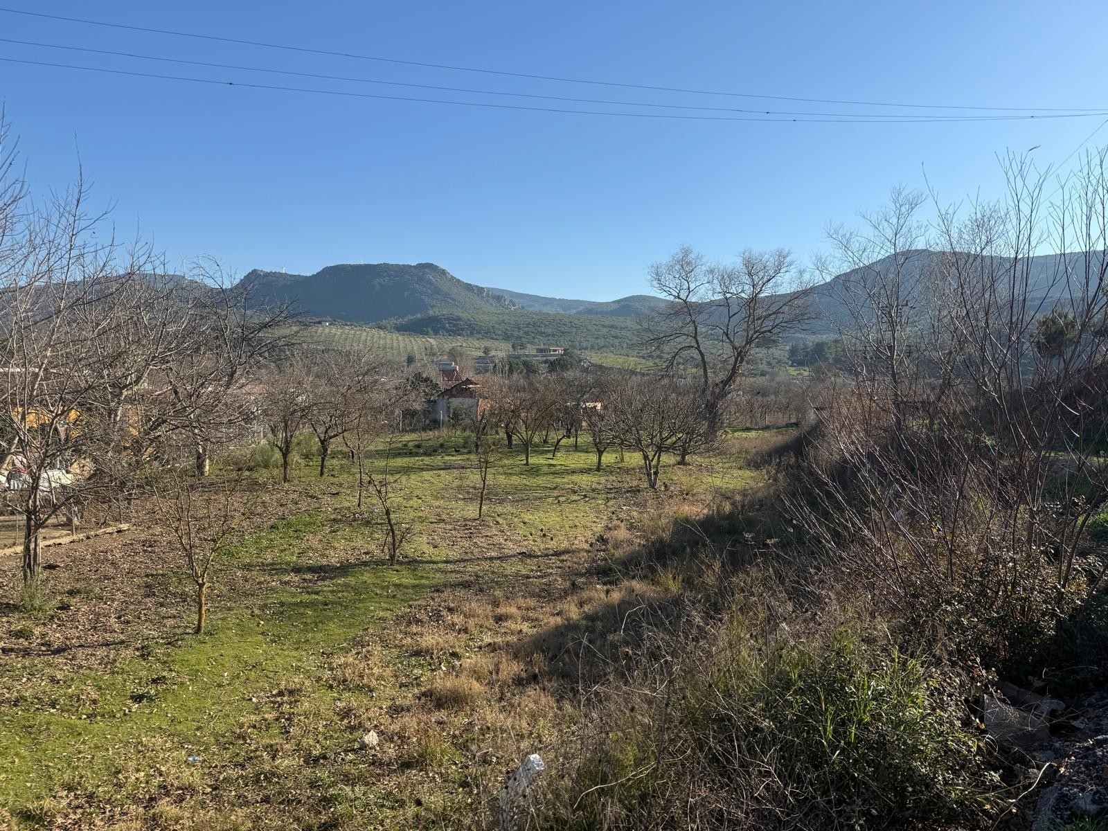 Kirazlı Dereboğaz Mevkiinde 1.862 m² Tarla