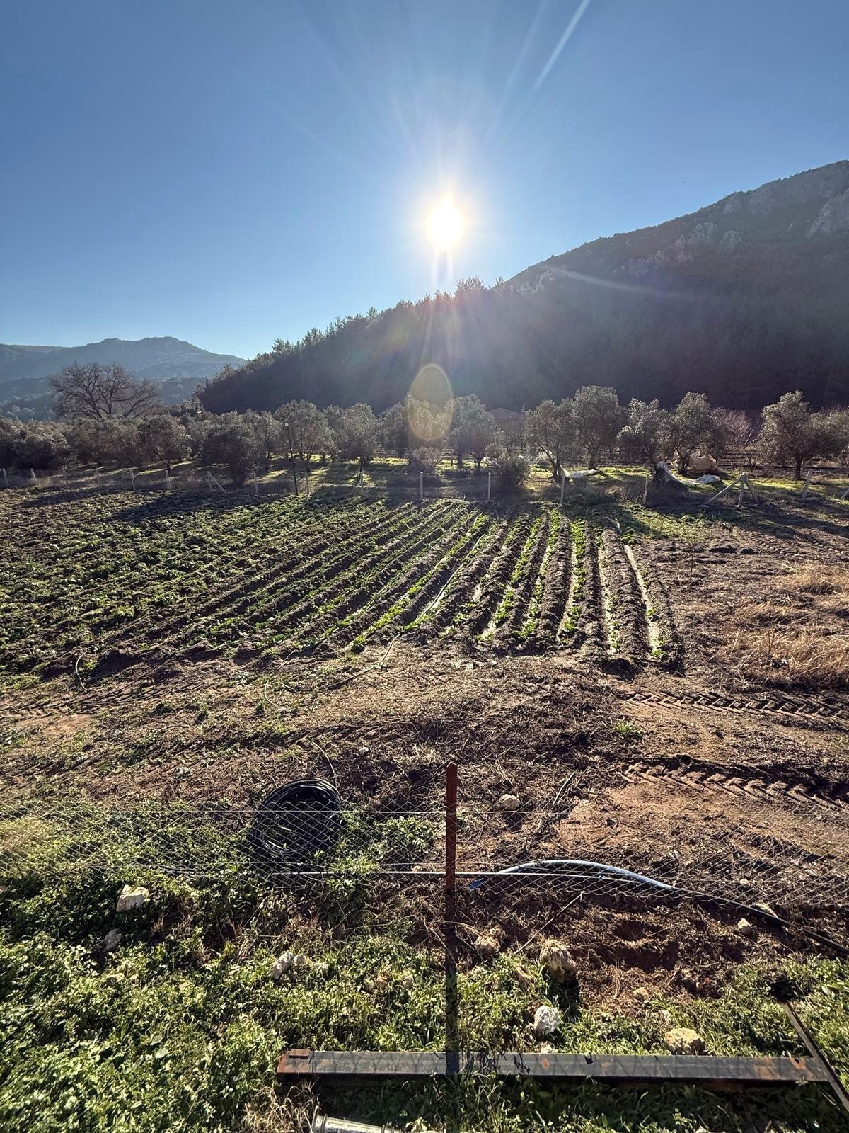 2716 m² field in Kirazlı Dereboğaz area.