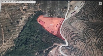 Kuşadası Yaylaköy’de Deniz Manzaralı Tarla