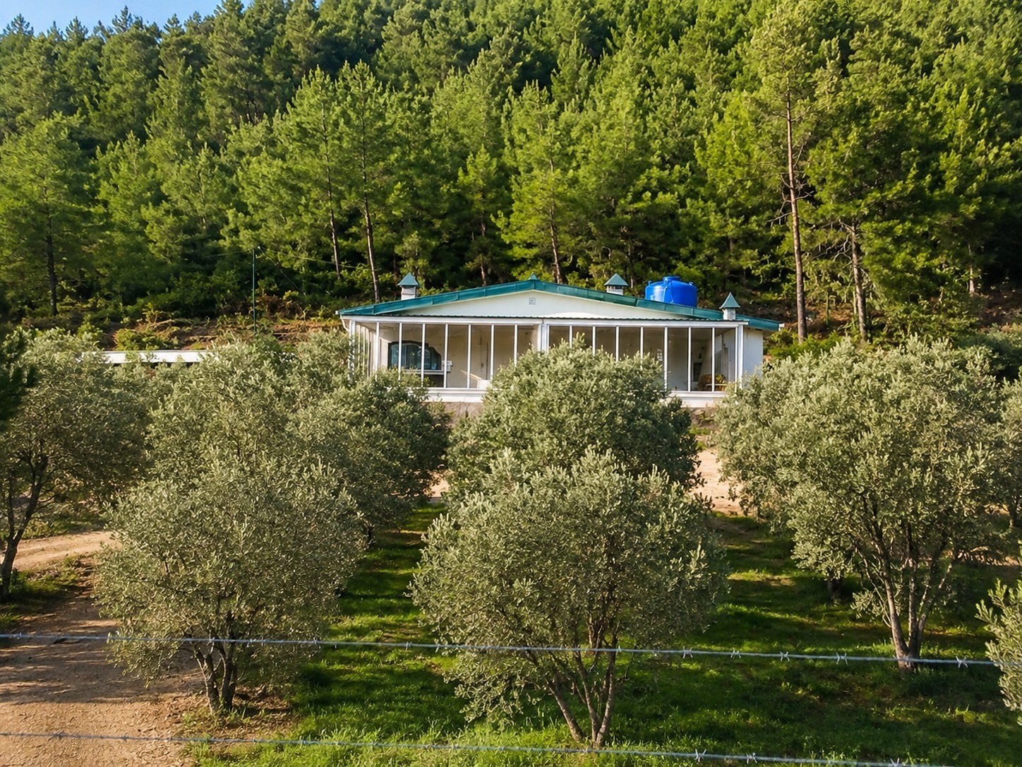 Ferme entourée de nature et vue sur la mer à Yeniköy, Kuşadası.